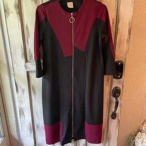 Zadie B’s Zipper Dress. Sz L